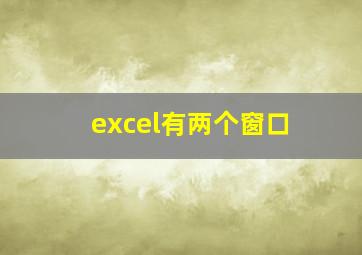 excel有两个窗口