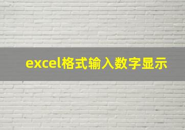 excel格式输入数字显示