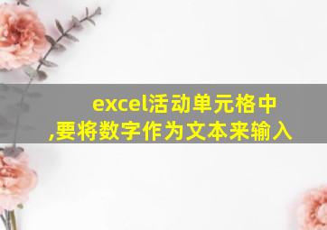 excel活动单元格中,要将数字作为文本来输入