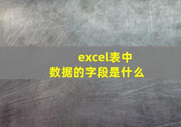 excel表中数据的字段是什么