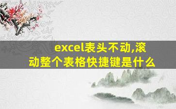 excel表头不动,滚动整个表格快捷键是什么