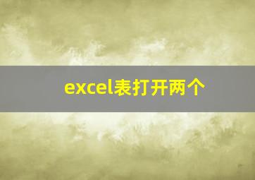 excel表打开两个