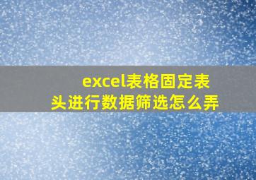 excel表格固定表头进行数据筛选怎么弄