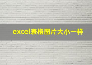 excel表格图片大小一样