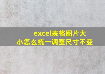 excel表格图片大小怎么统一调整尺寸不变