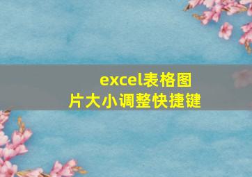 excel表格图片大小调整快捷键