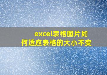 excel表格图片如何适应表格的大小不变