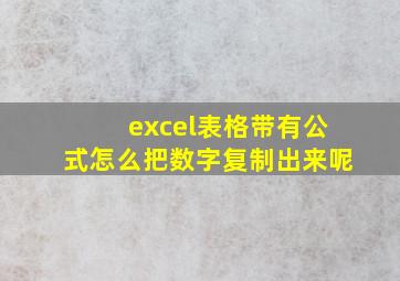 excel表格带有公式怎么把数字复制出来呢