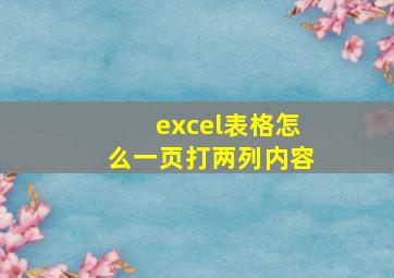 excel表格怎么一页打两列内容