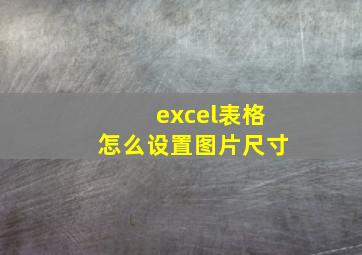 excel表格怎么设置图片尺寸