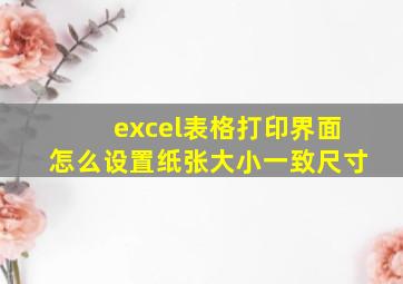 excel表格打印界面怎么设置纸张大小一致尺寸