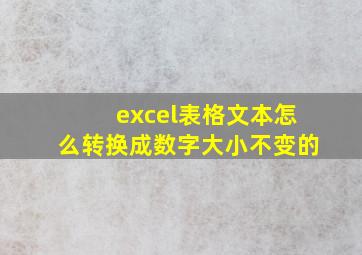 excel表格文本怎么转换成数字大小不变的