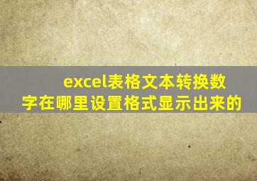 excel表格文本转换数字在哪里设置格式显示出来的