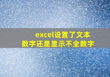 excel设置了文本数字还是显示不全数字