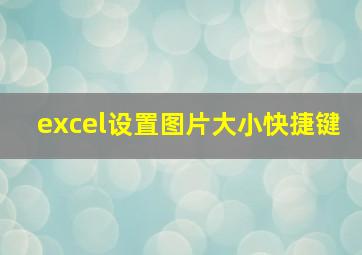 excel设置图片大小快捷键