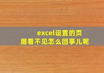 excel设置的页眉看不见怎么回事儿呢