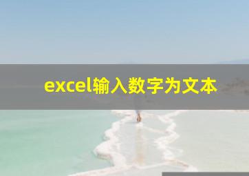 excel输入数字为文本