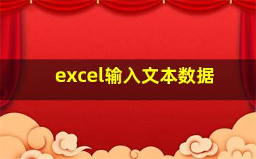 excel输入文本数据