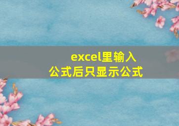 excel里输入公式后只显示公式