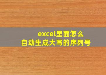 excel里面怎么自动生成大写的序列号