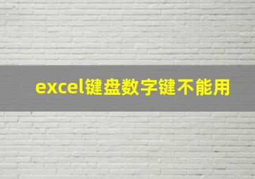 excel键盘数字键不能用