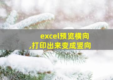 excel预览横向,打印出来变成竖向