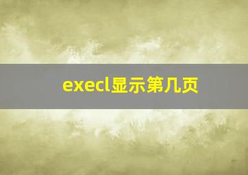 execl显示第几页