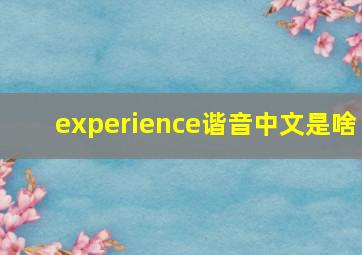 experience谐音中文是啥