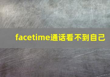 facetime通话看不到自己