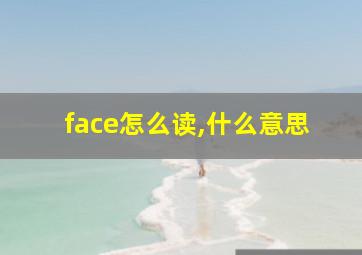 face怎么读,什么意思