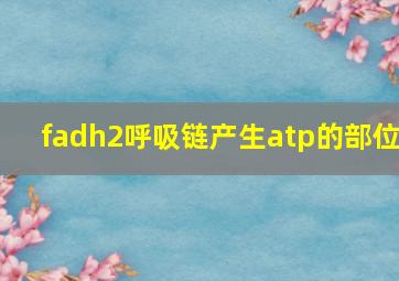 fadh2呼吸链产生atp的部位