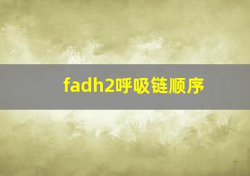 fadh2呼吸链顺序