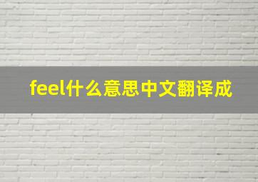 feel什么意思中文翻译成