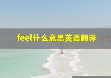 feel什么意思英语翻译