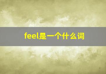 feel是一个什么词