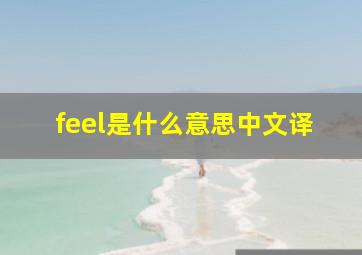 feel是什么意思中文译