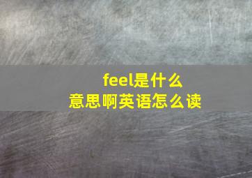 feel是什么意思啊英语怎么读