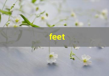 feet