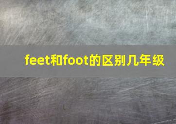 feet和foot的区别几年级