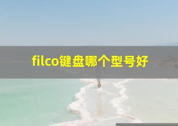 filco键盘哪个型号好