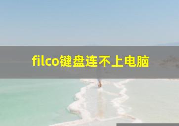 filco键盘连不上电脑