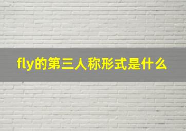 fly的第三人称形式是什么