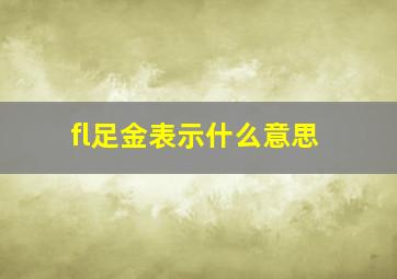 fl足金表示什么意思