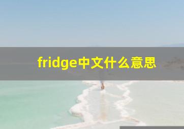 fridge中文什么意思