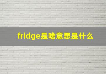 fridge是啥意思是什么