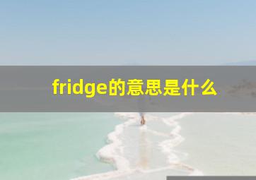 fridge的意思是什么