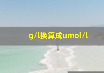 g/l换算成umol/l