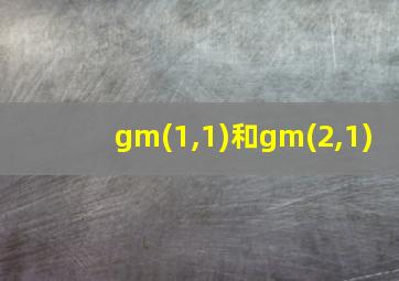 gm(1,1)和gm(2,1)