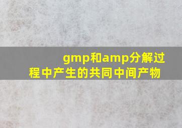 gmp和amp分解过程中产生的共同中间产物