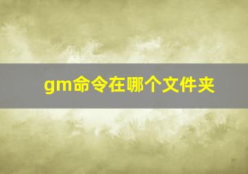 gm命令在哪个文件夹